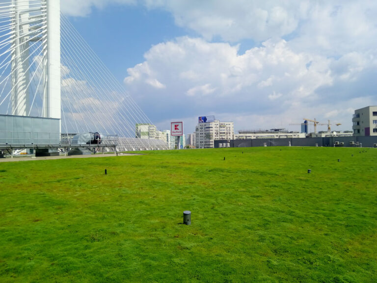 Kaufland București Basarab/ Orhideea, 4.300 mp, instalat în 2018