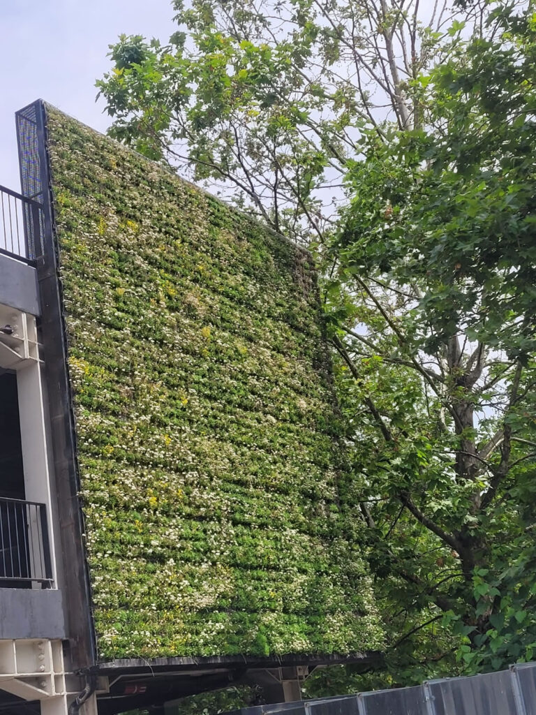 City Park Mall, Constanța, suprafață 400 mp, realizat în 2017