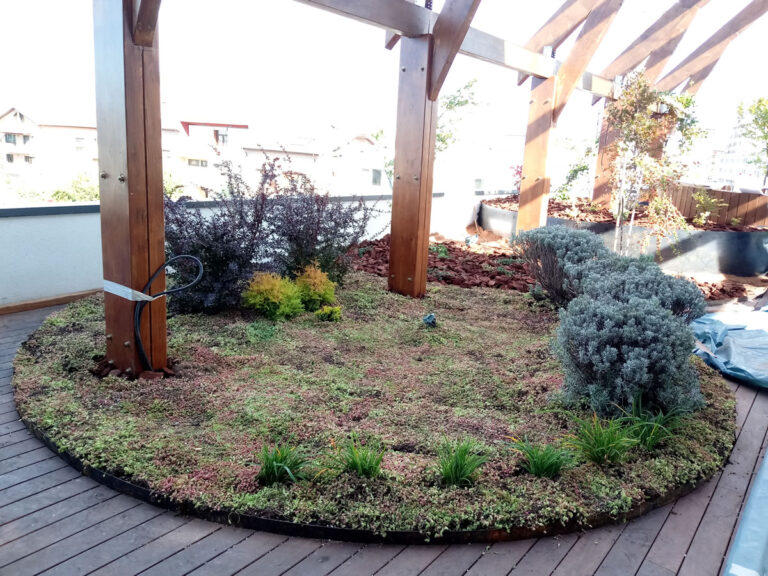 Acoperiș verde intensiv, realizat în București în 2020, grădină în suprafață de 150 mp