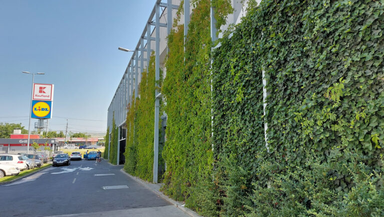 Fațadă verde la Kaufland Aurel Vlaicu Cluj, instalat în 2019, cu vegetație în continuă dezvoltare, acoperire cca. 1440 mp