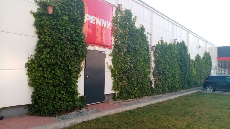 Penny Otopeni, fațadă verde instalată în 2020, suprafață 1200 mp