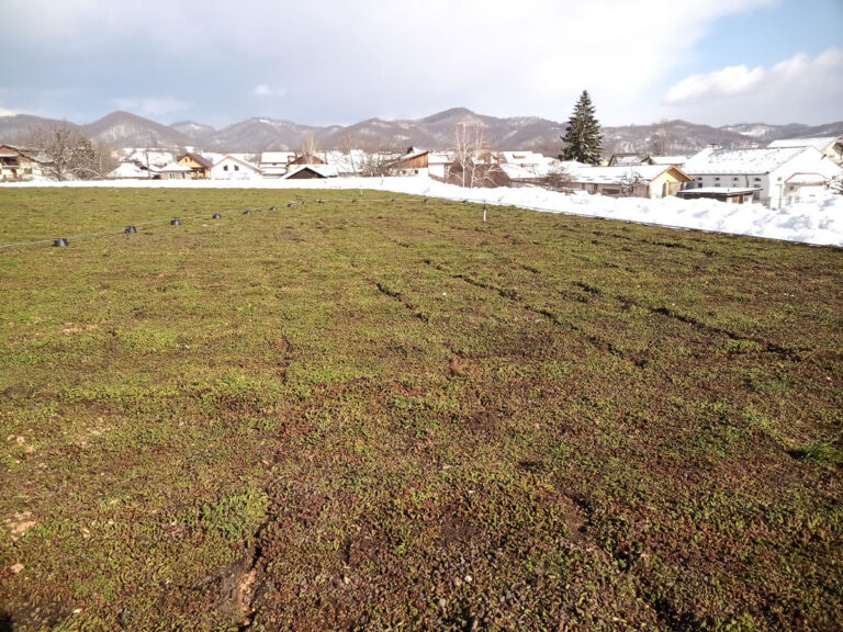 Lidl Pucioasa, sistem acoperiș verde extensiv cu rulouri de sedum, suprafață 905 mp, realizat în 2022