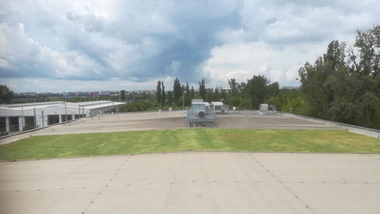 Acoperiș verde cu sedum, construit în 2018, la Kaufland Odăi, București, suprafață 720 mp