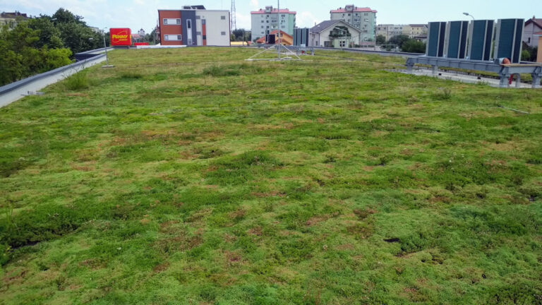 Construită în 2018, acoperiș verde Penny 2 Mangalia, suprafață vegetație extensivă 1395 mp