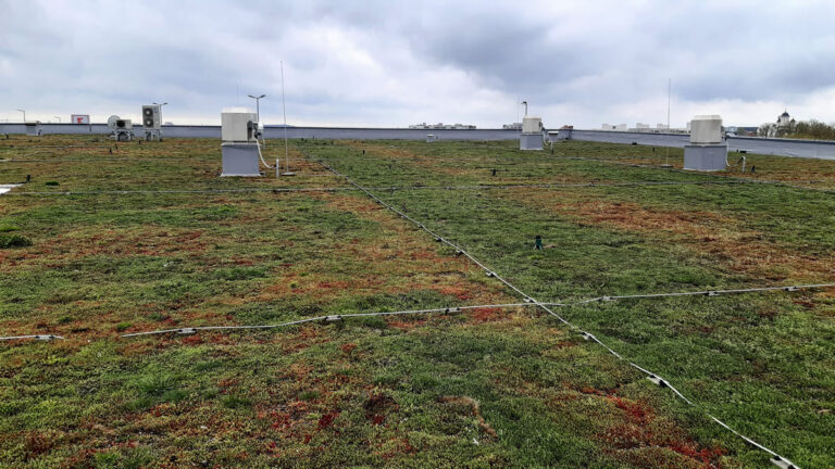 Kaufland București Sisești, anul instalării 2020, suprafață 2060 mp