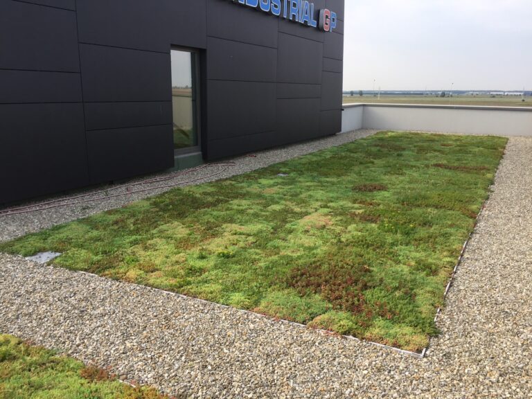 Trei terase cu vegetație extensivă construite la sediul unei firme din Ploiești în anul 2019, pe o suprafață totală de 180 mp