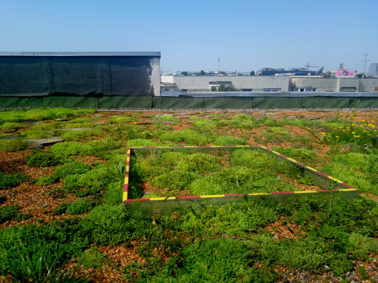 Acoperișul verde biodivers​