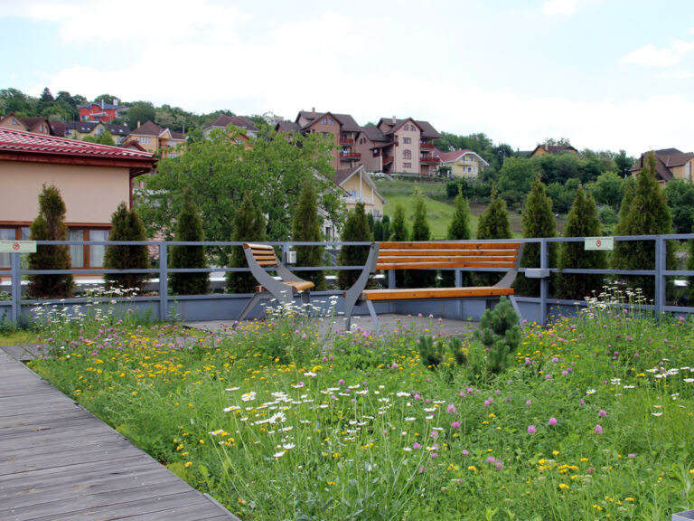 Acoperișul verde semi-intensiv​