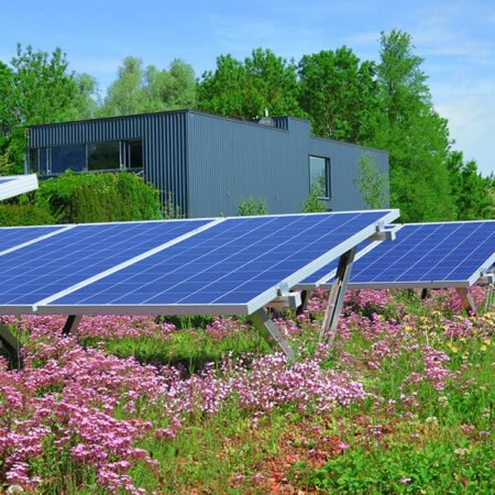 Acoperișuri verzi biosolare pentru a aborda crizele climatice și de biodiversitate