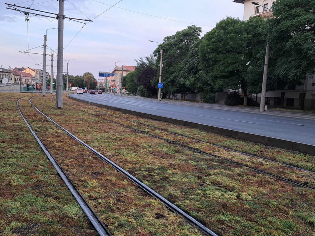 Trendul european de înverzire a liniilor de tramvai cu rulouri de sedum