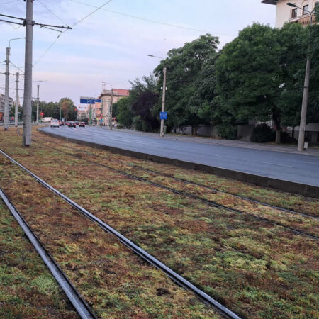 Trendul european de înverzire a liniilor de tramvai cu rulouri de sedum