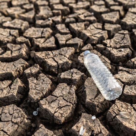 Apele României - Stadiul actual al resurselor de apă și direcții sustenabile de viitor