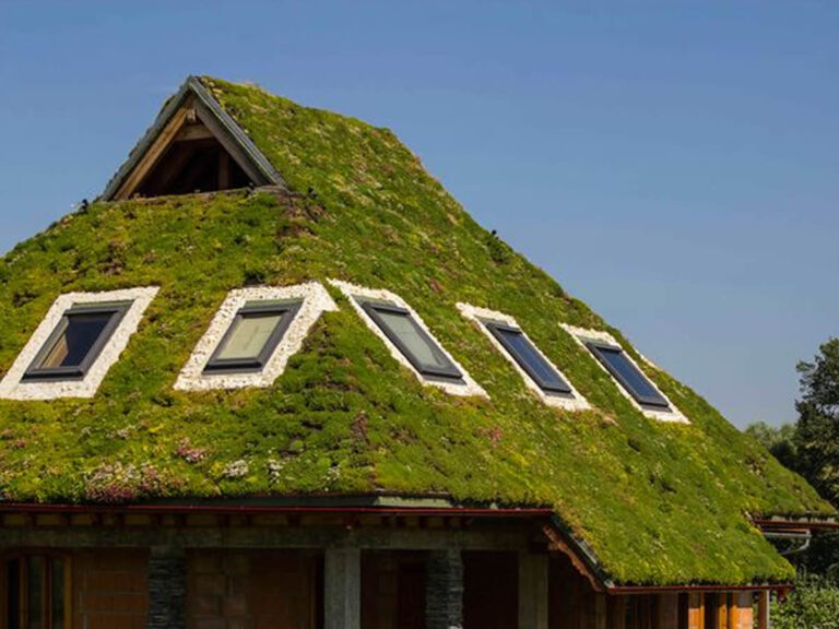 Acoperiș verde extensiv înclinație 45 grade, Persoană fizică, suprafață vegetală 170 mp, instalat în 2016