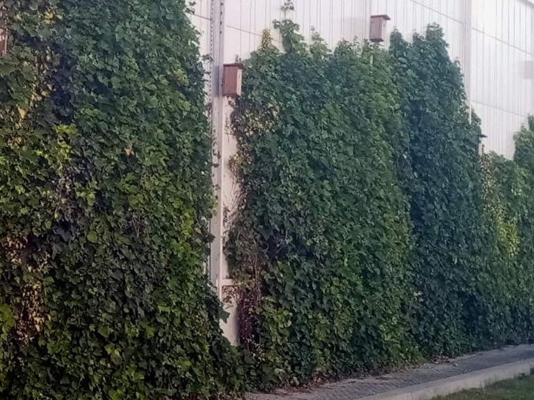 Fațade verzi cu suport​