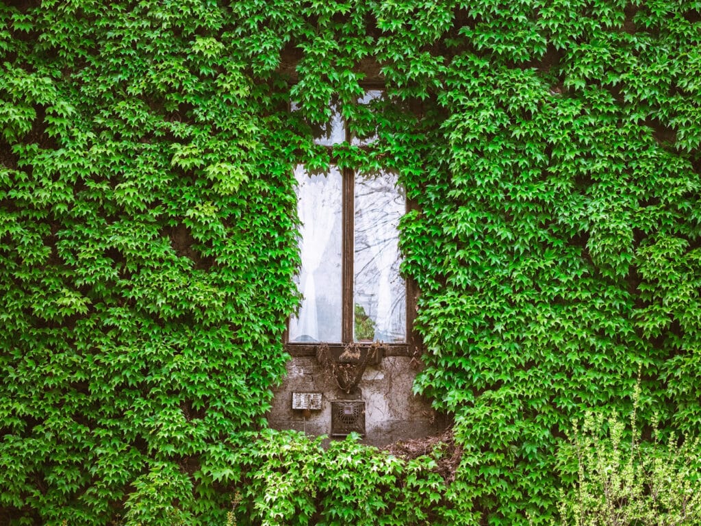 Lansăm noua broșură a Asociației Converde – 2 ani de inovație și sustenabilitate