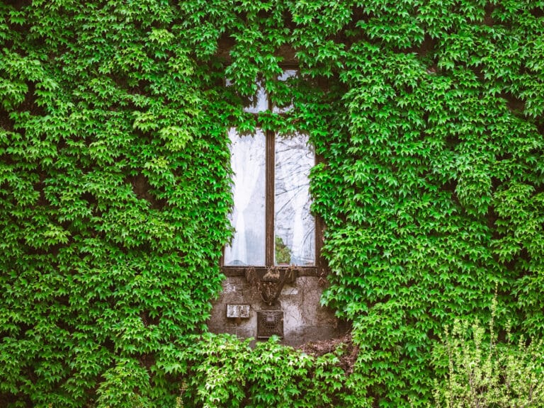 Lansăm noua broșură a Asociației Converde – 2 ani de inovație și sustenabilitate