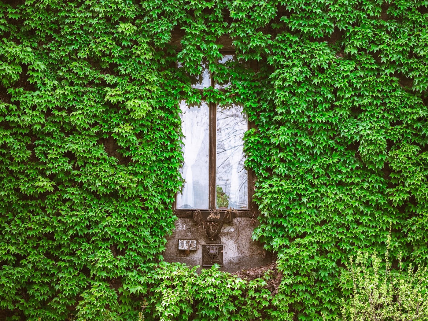 Lansăm noua broșură a Asociației Converde – 2 ani de inovație și sustenabilitate