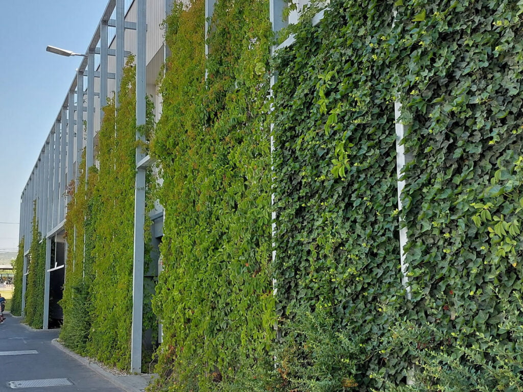 Măsuri pentru implementarea Pactului Verde European în zonele urbane