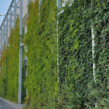 Măsuri pentru implementarea Pactului Verde European în zonele urbane