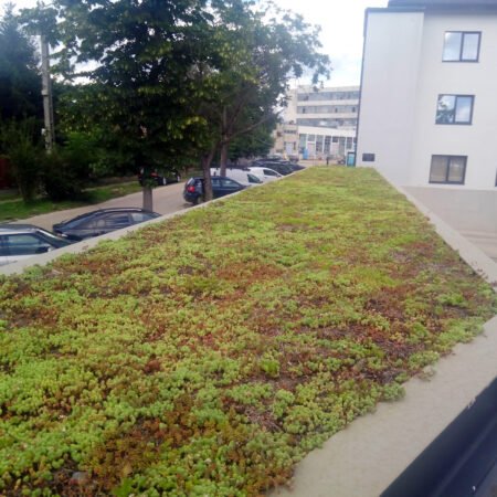 Serviciile ecosistemice ale acoperișurilor verzi și perspective economice