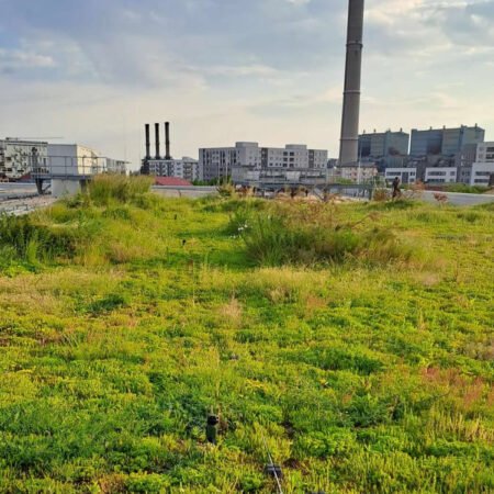 Valorea cuantificată a naturii