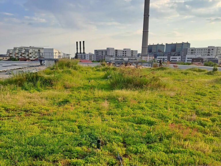 Valorea cuantificată a naturii