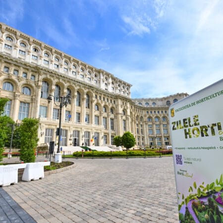 Promovarea sustenabilității urbane prin educație