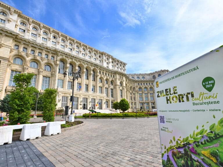 Promovarea sustenabilității urbane prin educație